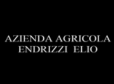 Endrizzi Elio