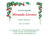 Morando Lorenzo